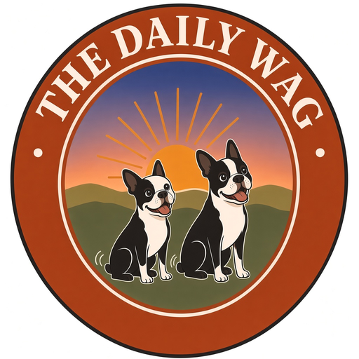 The Daily Wag logo with two Boston terriers
