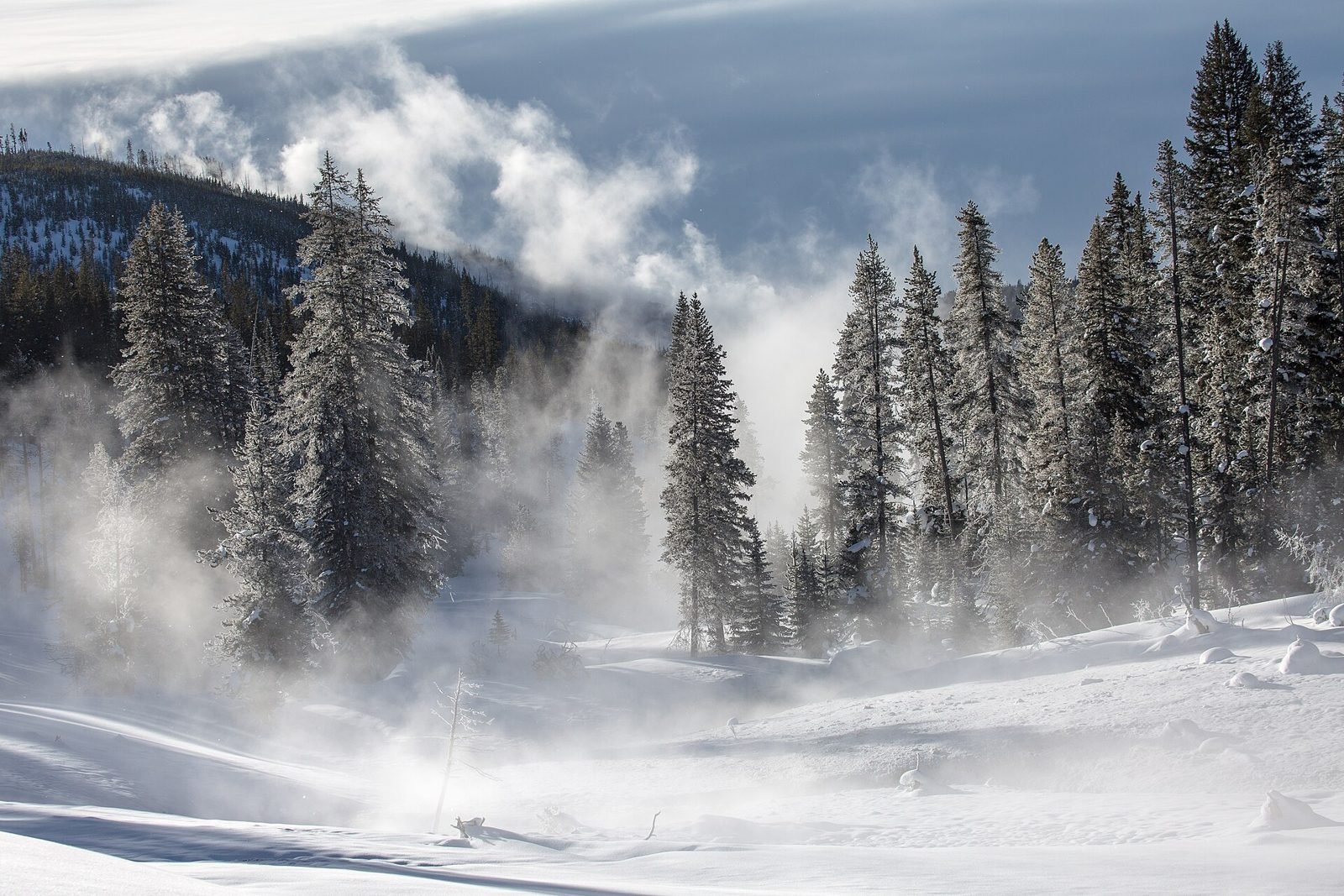 Morning mist along Obsidian Creek in Yellowstone National Park